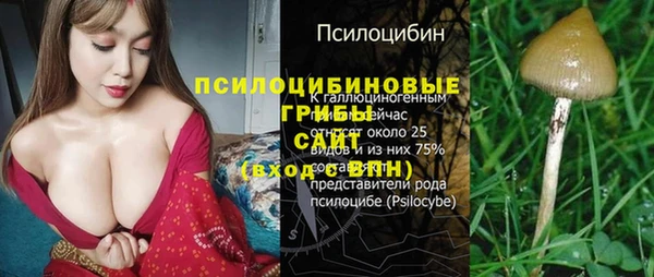 дмт Нефтекумск
